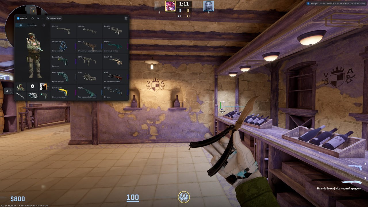 Mason CS2 Internal - Skin Changer выбор скинов оружия